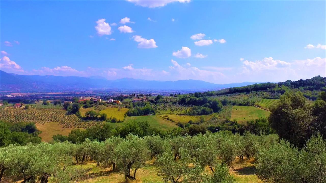 Agriturismo Camiano Piccolo Montefalco Exteriör bild