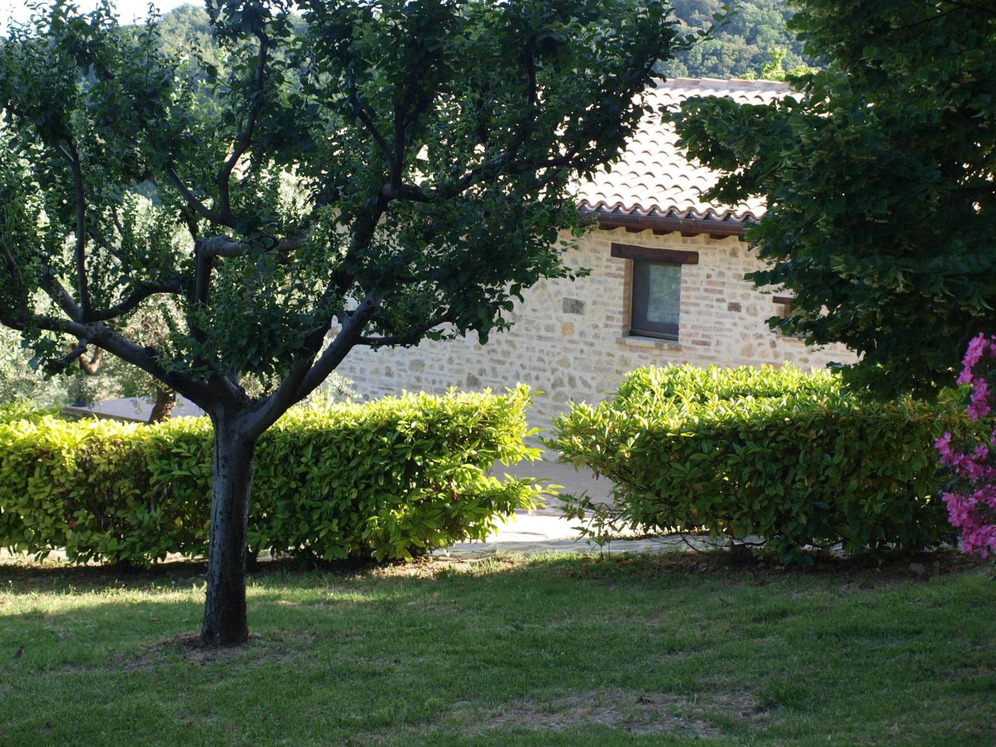 Agriturismo Camiano Piccolo Montefalco Exteriör bild